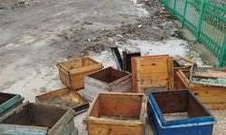 Arıcının umudu sele teslim oldu: 80 kovan zarar gördü