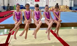 Niğdeli cimnastikçiler podyumu salladı
