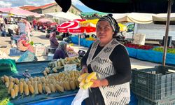 Niğde’de yazın tadı tezgahlara indi