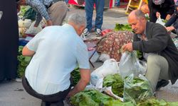 Güneş doğmadan satış başladı… Niğde’de asma yaprağı hareketliliği