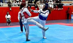 ANALİG Taekwondo'da Niğde'nin temsilcileri belli oldu