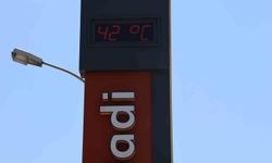 Termometreler 42 dereceyi gösterdi