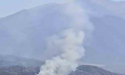 Ormanlık alana yakın bölgede arazi yangını çıktı