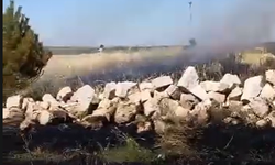 Çarıklı Köyü'nde ekin yangını