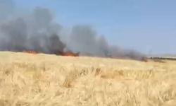 Edikli’de ekili alanda yangın çıktı