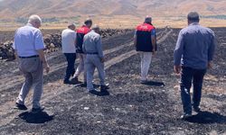 Küle dönen 70 dönümlük ekili alanda hasar tespit çalışmaları