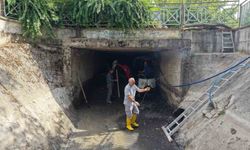 Derelerinde koku ve kirliliğe karşı kapsamlı temizlik