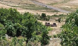 Piknik yolunda facia: 1 ölü, 23 yaralı