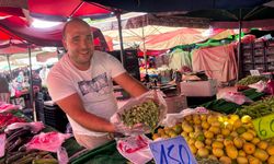 Boncuk bamya az geliyor, zahmetli hasat fiyatı artırıyor
