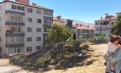 Niğde'de kuru ot yangını paniği