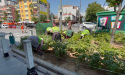 Niğde’de park ve yeşil alanlarda bakım çalışması