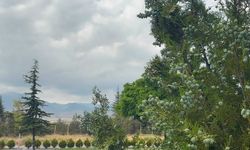 Niğde'de hava nasıl olacak?