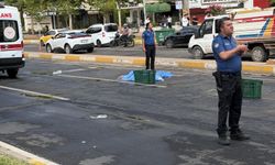 Yolun karşısına geçmeye çalışırken hayatını kaybetti