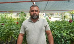 Bitkileri yaşatmak isterken öldürmeyin!