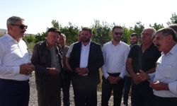 Vekil Uzkurt, Tumlu Yaylası’nda kiraz hasadına katıldı