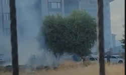 Niğde’de boş arazide ot yangını çıktı