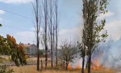 Bor'da kuru otlar alev aldı