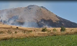Niğde'de dağlık alanda ot yangını