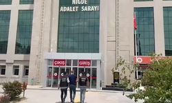Niğde’de 170 kök hint keneviri ele geçirildi