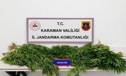 Jandarmanın yakaladığı 34 şahıstan 4'ü tutuklandı