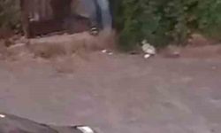 Sokak ortasında silahlı kavga: 3 yaralı