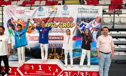 Niğde'ye taekwondoda 3 madalya