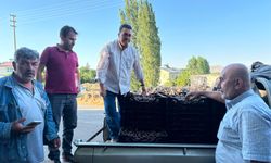 Kılan kirazı Rusya yolunda, üreticinin yüzü gülüyor
