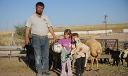 Niğde'de hayvancılık yapan aileler, evlerine elektrik istiyor