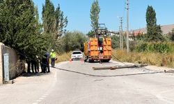 Niğde'de kamyonet elektrik direklerini devirdi
