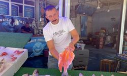 Niğde'de balıklar tezgahlardaki yerini almaya başladı