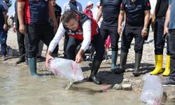 Bahçeli Göleti’ne yavru sazan bırakıldı