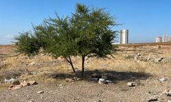35 yaşındaki şahıs boş arazide ölü bulundu