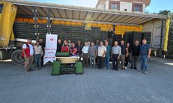 Çiftçilere 300 bin 300 adet marul fidesi dağıtıldı