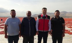 Bu tarlaya okumayan giremiyor!