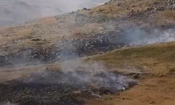 Niğde’de Zindan Vadisi yakınında kuru ot yangını