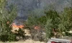 Kayardı Bağları'nda korkutan yangın