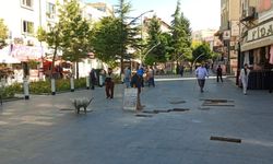 Yeni Çarşı’da kaldırım taşları onarılıyor