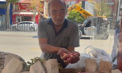 Niğde’de kilosu bin 250 lirayı buldu!