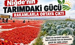 Niğde’nin tarımdaki gücü rakamlarla ortaya çıktı