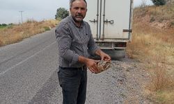 Yolda karşısına çıktı, hemen durdu