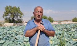Niğde’de tarlada 30 lira, pazarda 200 lira!