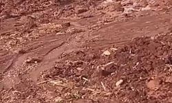 Çamura saplanan eşeği itfaiye ekipleri kurtardı