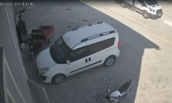 Edikli’de kamyonet köpeğin üzerinden geçti