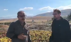 Meyve suyu elması 3 liraya düştü, üretici ürününü toplatamıyor