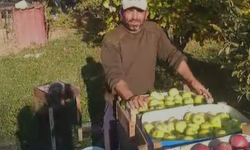 Niğde’de elma üreticisi dertli