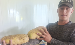 Niğde’de 5 kilo 550 gramlık dev patates şaşırttı