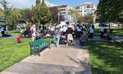 Bebekli 75 anneyi parktan çıkardılar