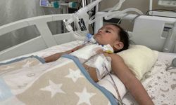 1 yaşındaki bebeğin akciğerinden ceviz çıktı