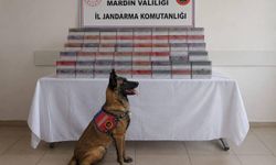 8 milyon lira değerinde kaçak ürün ele geçirildi