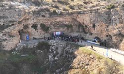 Peynir hasadı geleneği sürüyor